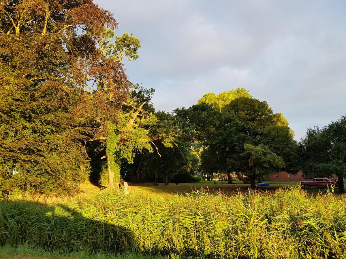 Johannes Hof Bunde  Exterior foto